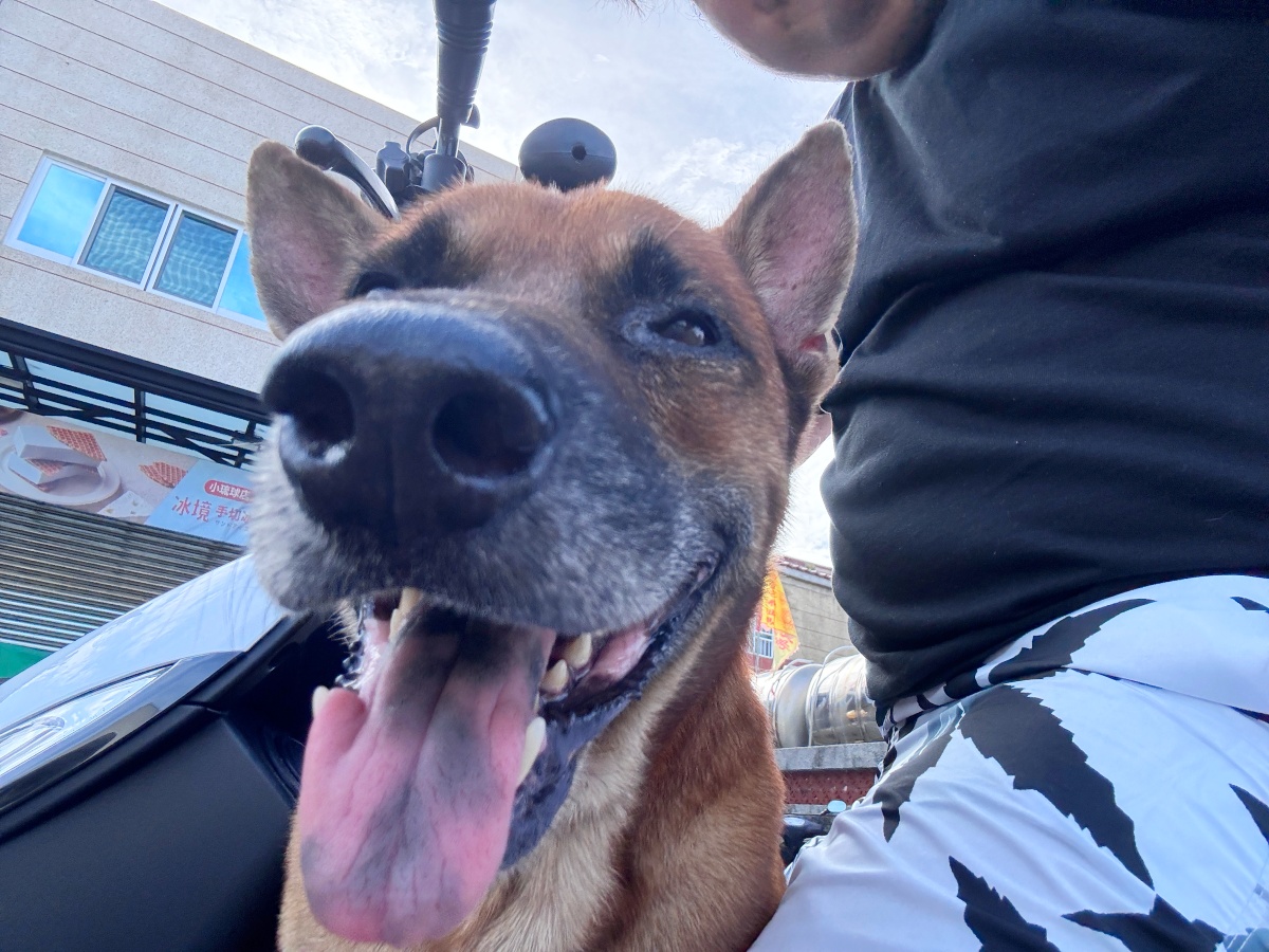 八角框架全解析|掌握8大人性動力,讓行銷內容自己會爆紅|遊戲化策略專家 周郁凱 11 八角框架全解析|掌握8大人性動力,讓行銷內容自己會爆紅|遊戲化策略專家 周郁凱