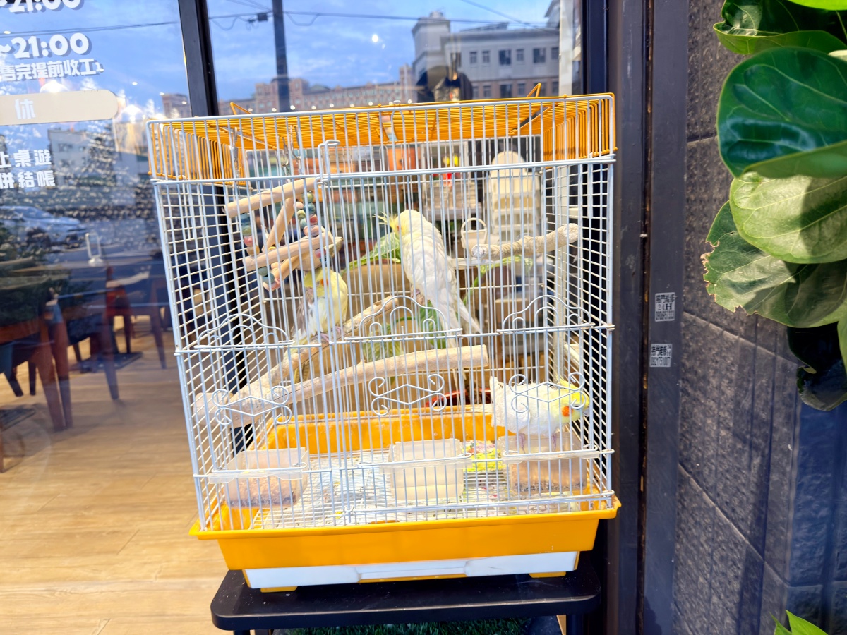 【台南美食】SunnyPasta陽光義式廚坊｜道道手作、份量實在的義大利麵天堂