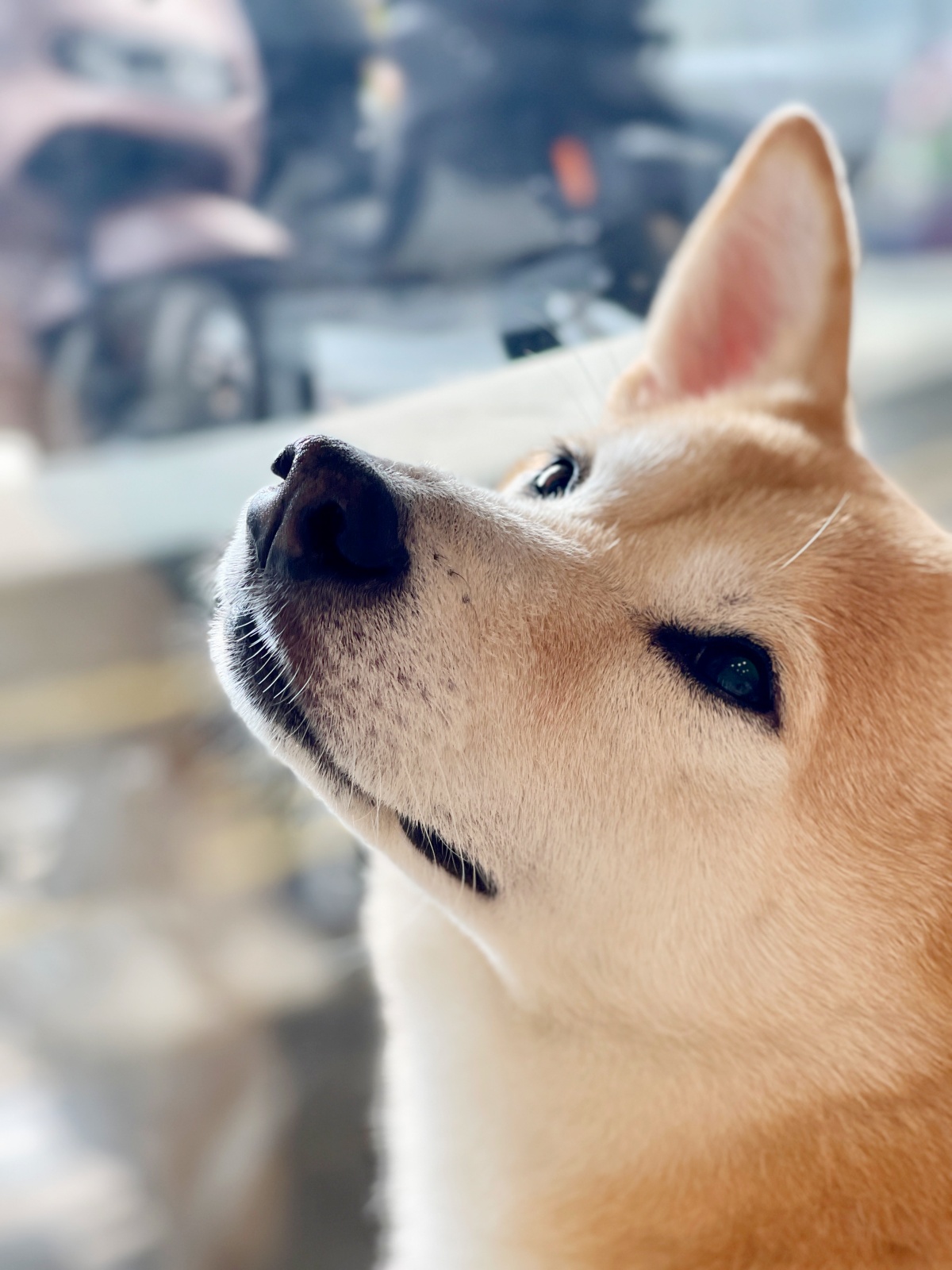 《一本書教你如何提高自己的情商》讀後感：從自我認識到情緒管理，學會成熟而從容地生活