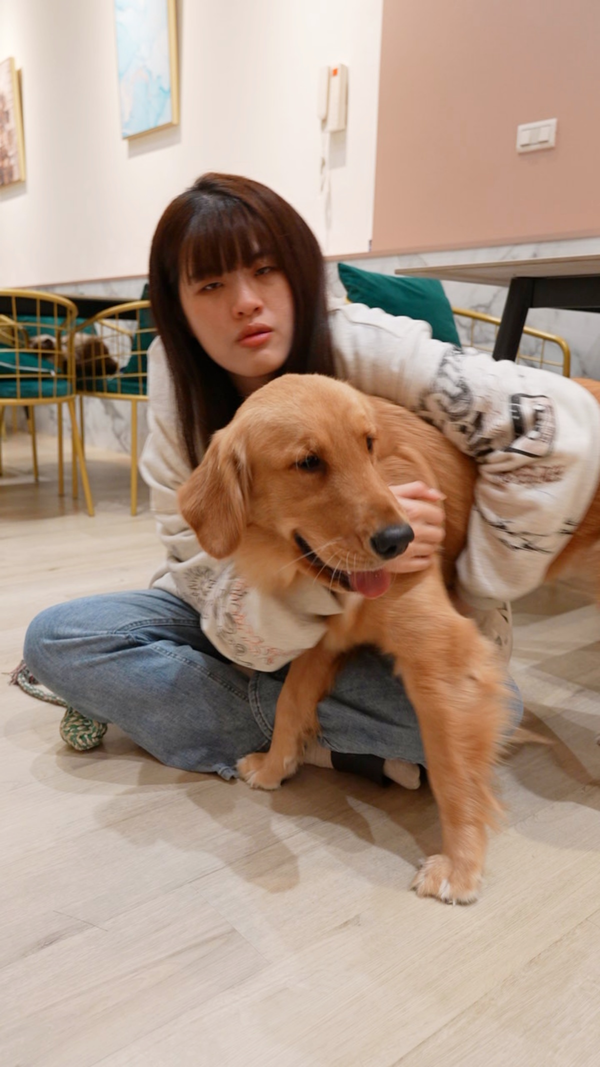 為什麼你的狗不聽話？從狗的角度重新理解牠的世界（魔法咪嚕真實案例＋飼主指南）