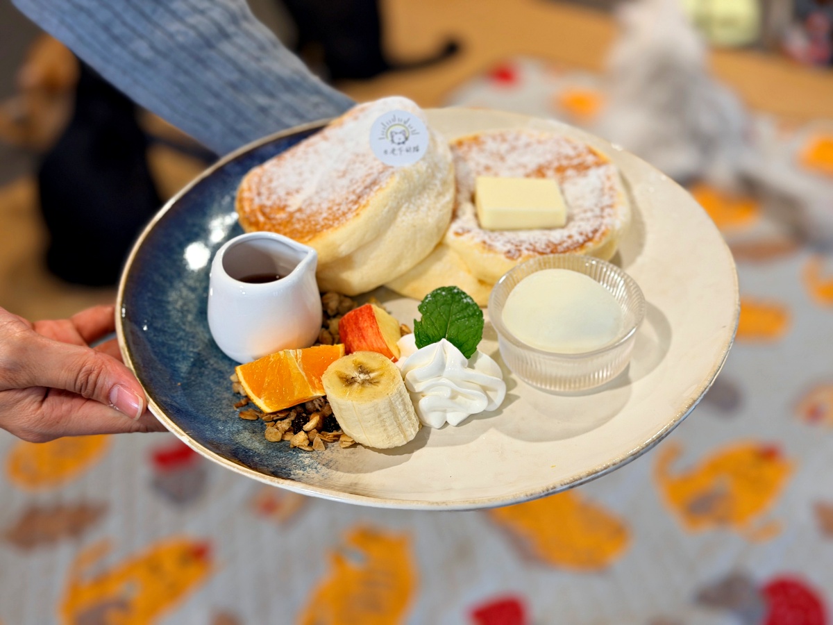 《雲林虎尾有一間真的在救貓的咖啡廳:日光下的貓。一樓寵物友善,二樓全是被救回來的浪貓,感動到差點哭。》 18 《雲林虎尾有一間真的在救貓的咖啡廳:日光下的貓。一樓寵物友善,二樓全是被救回來的浪貓,感動到差點哭。》