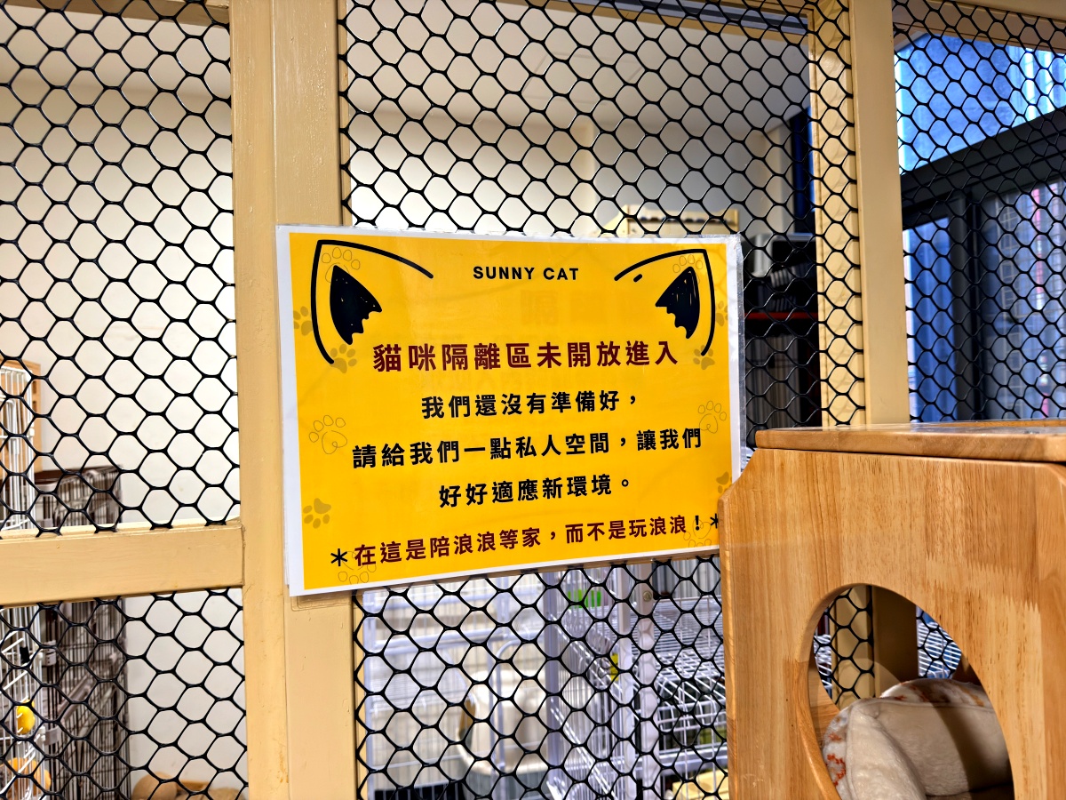 《雲林虎尾有一間真的在救貓的咖啡廳:日光下的貓。一樓寵物友善,二樓全是被救回來的浪貓,感動到差點哭。》 16 《雲林虎尾有一間真的在救貓的咖啡廳:日光下的貓。一樓寵物友善,二樓全是被救回來的浪貓,感動到差點哭。》