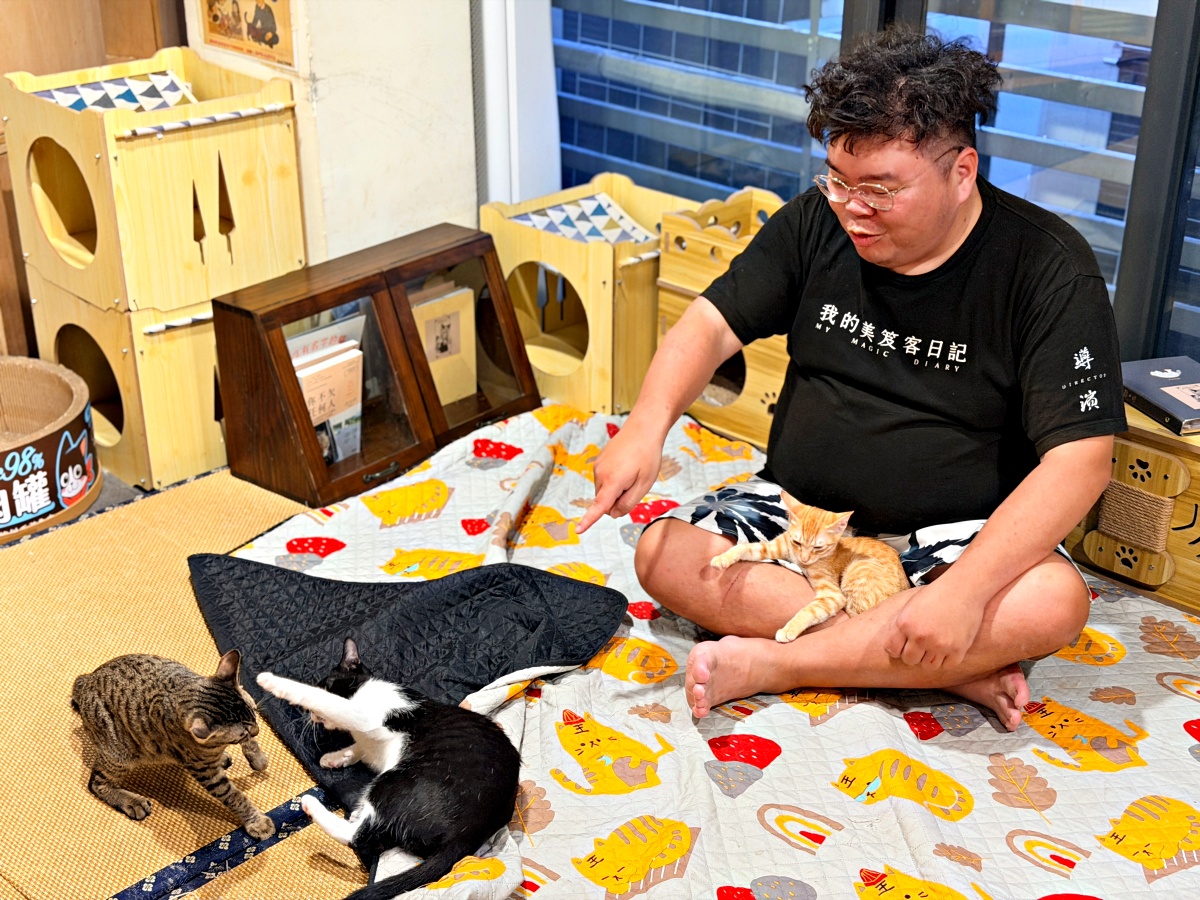 《雲林虎尾有一間真的在救貓的咖啡廳:日光下的貓。一樓寵物友善,二樓全是被救回來的浪貓,感動到差點哭。》 20 《雲林虎尾有一間真的在救貓的咖啡廳:日光下的貓。一樓寵物友善,二樓全是被救回來的浪貓,感動到差點哭。》