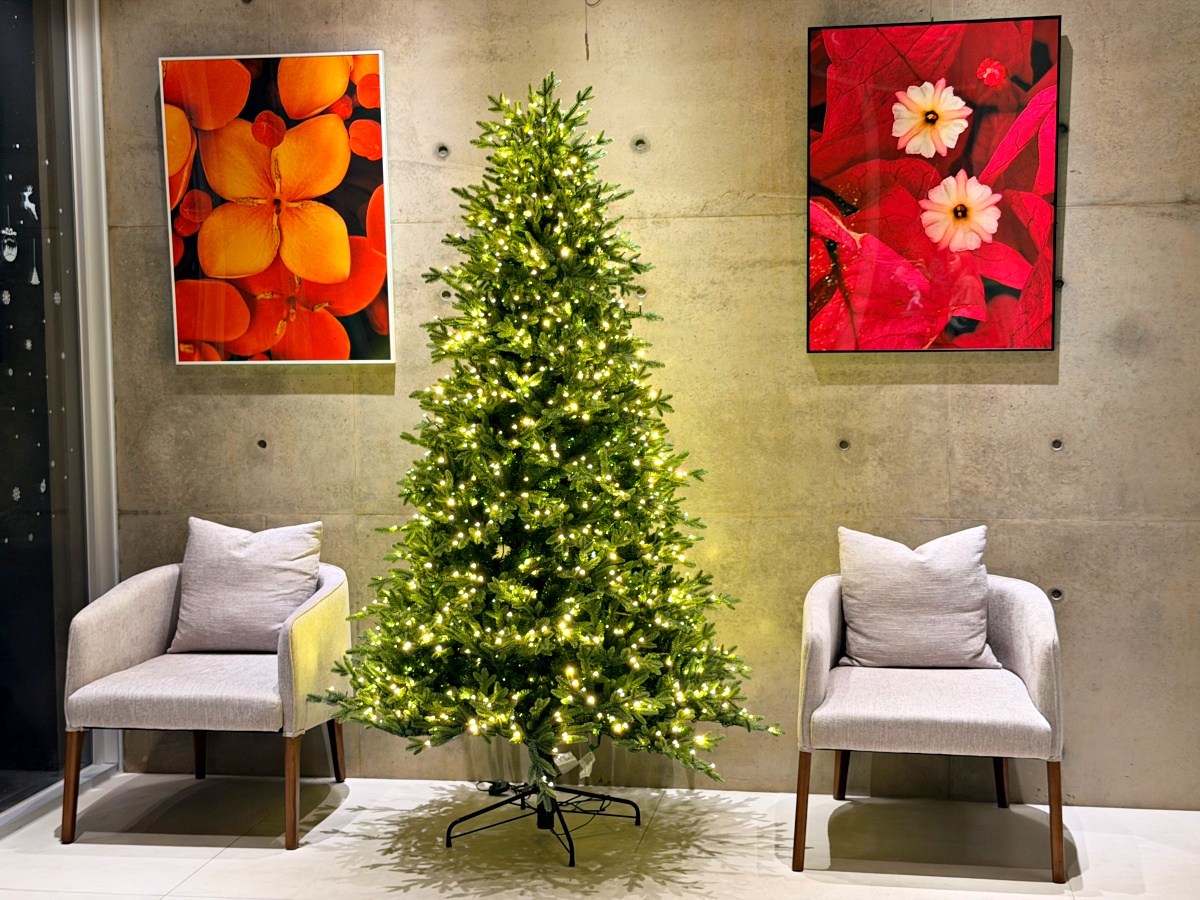 La Vita Felice 宜蘭在地料理｜從一方田地到一方餐桌，把蘭陽風土端上桌