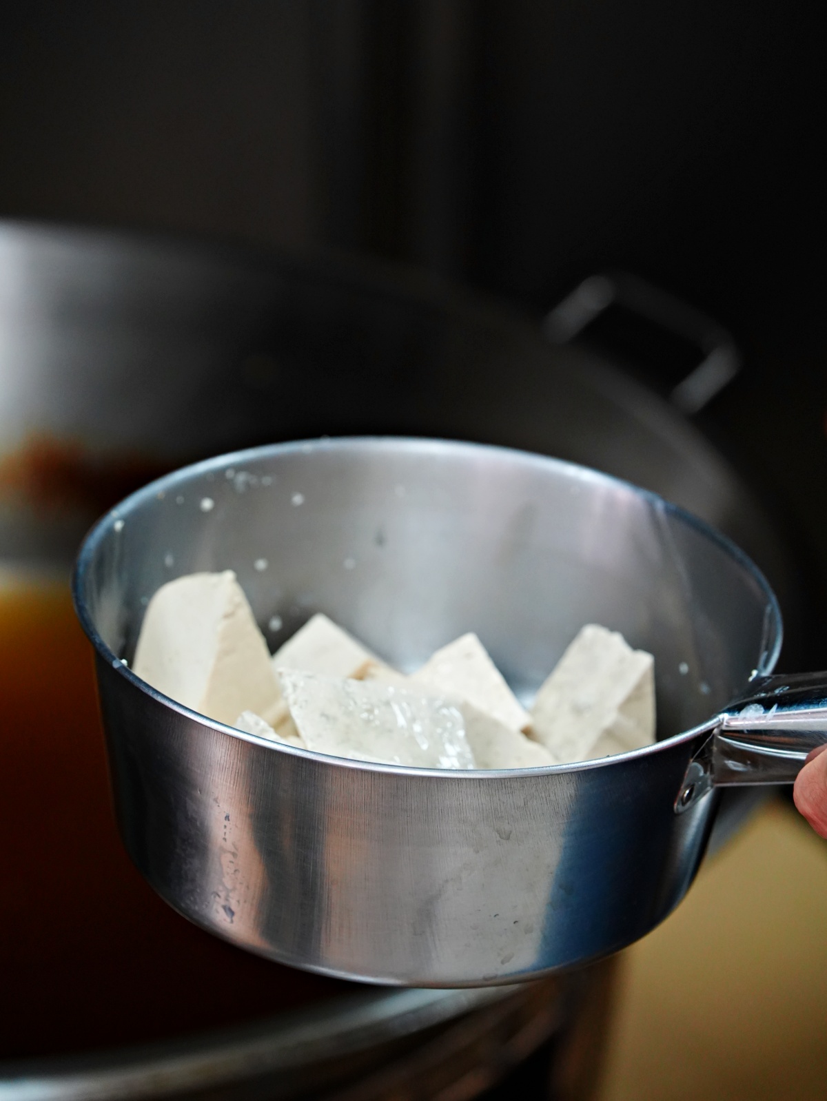 【台南永康】一派胡塩酵素臭豆腐：路過千萬別錯過！全台獨門「豆腸」與「極致酥脆」的深度味蕾開箱