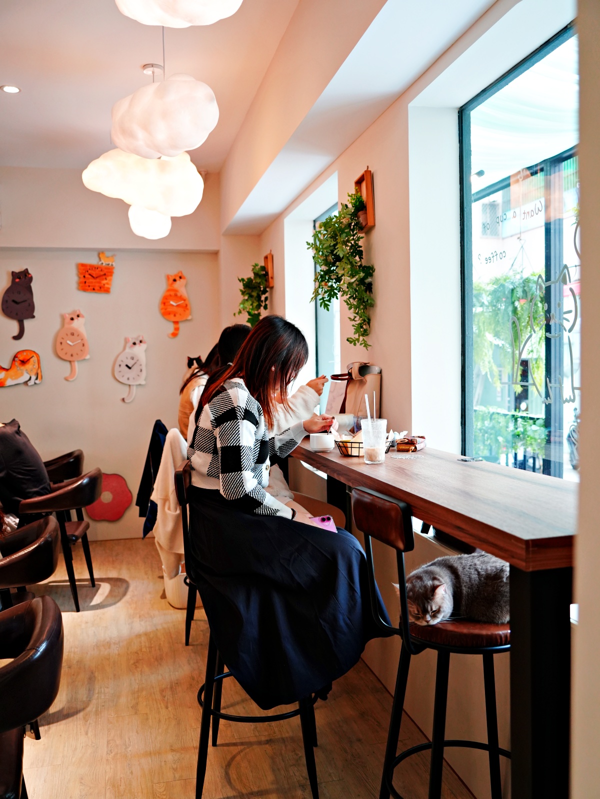 台南最萌「短腿監考官」陪吃!都在漫食間:被曼赤肯包圍的療癒時光,不只是早午餐更是貓奴避風港 3 台南最萌「短腿監考官」陪吃!都在漫食間:被曼赤肯包圍的療癒時光,不只是早午餐更是貓奴避風港