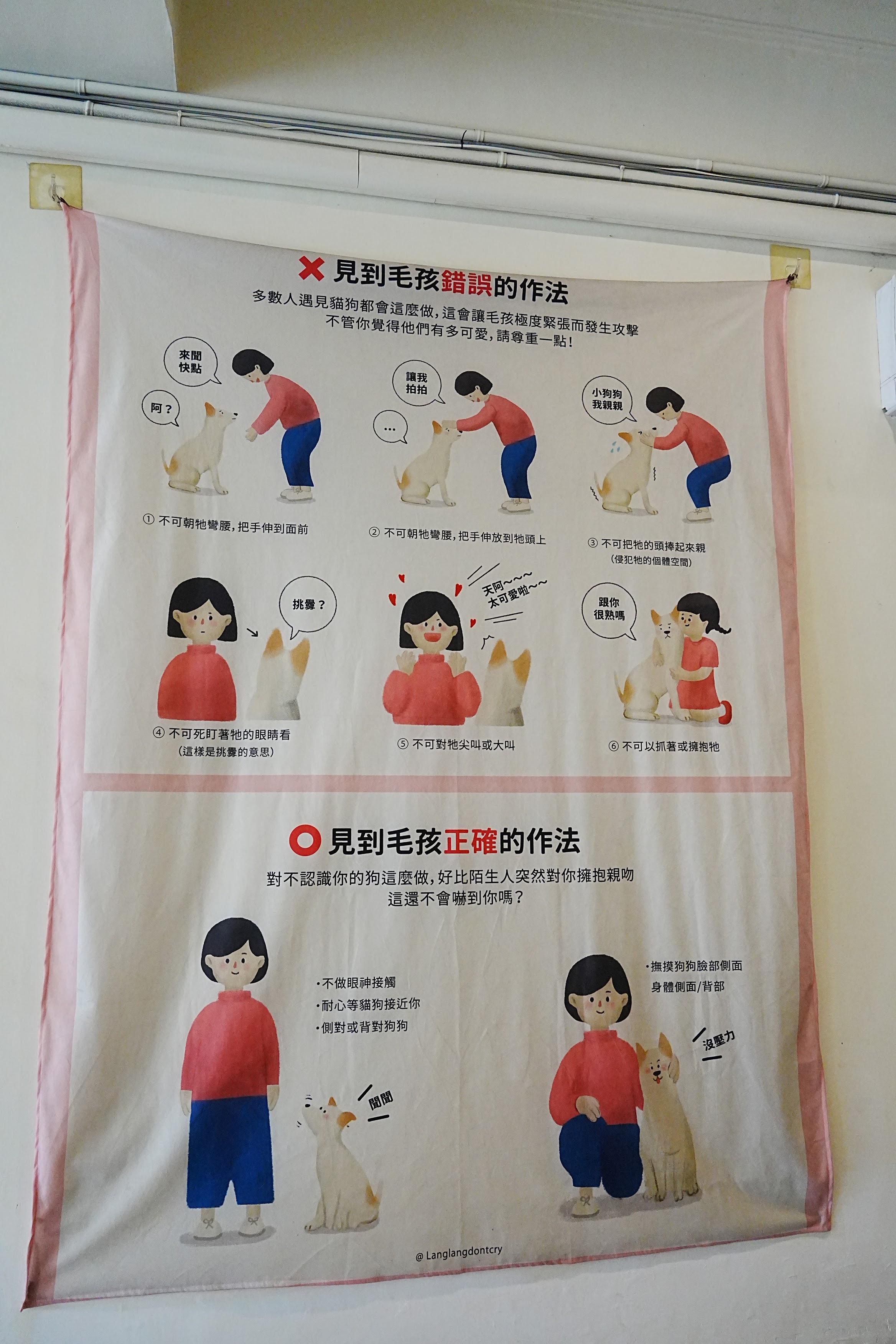 浪浪別哭台南店｜寵物餐廳｜中途之家｜寵物咖啡廳｜寵物友善｜流浪動物的小窩