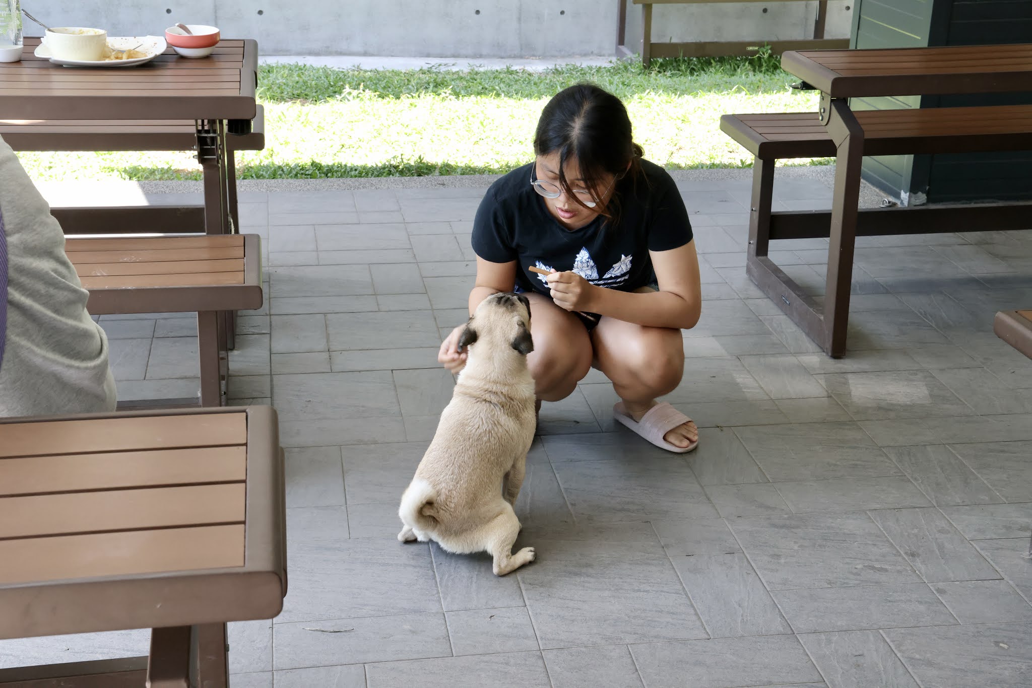 「Le Chien樂享森活」台中寵物餐廳 │ 台中汪星人友善餐廳,毛小孩的遊樂聖地 │ 破百坪大的餐廳還有狗狗專屬戲水池及相關展覽 │ 菜單內還意外發現超高級餐點!! (台中 / 平價 / 美食 / 狗狗 / 泳池 / 展覽) 21 「Le Chien樂享森活」台中寵物餐廳 │ 台中汪星人友善餐廳,毛小孩的遊樂聖地 │ 破百坪大的餐廳還有狗狗專屬戲水池及相關展覽 │ 菜單內還意外發現超高級餐點!! (台中 / 平價 / 美食 / 狗狗 / 泳池 / 展覽)
