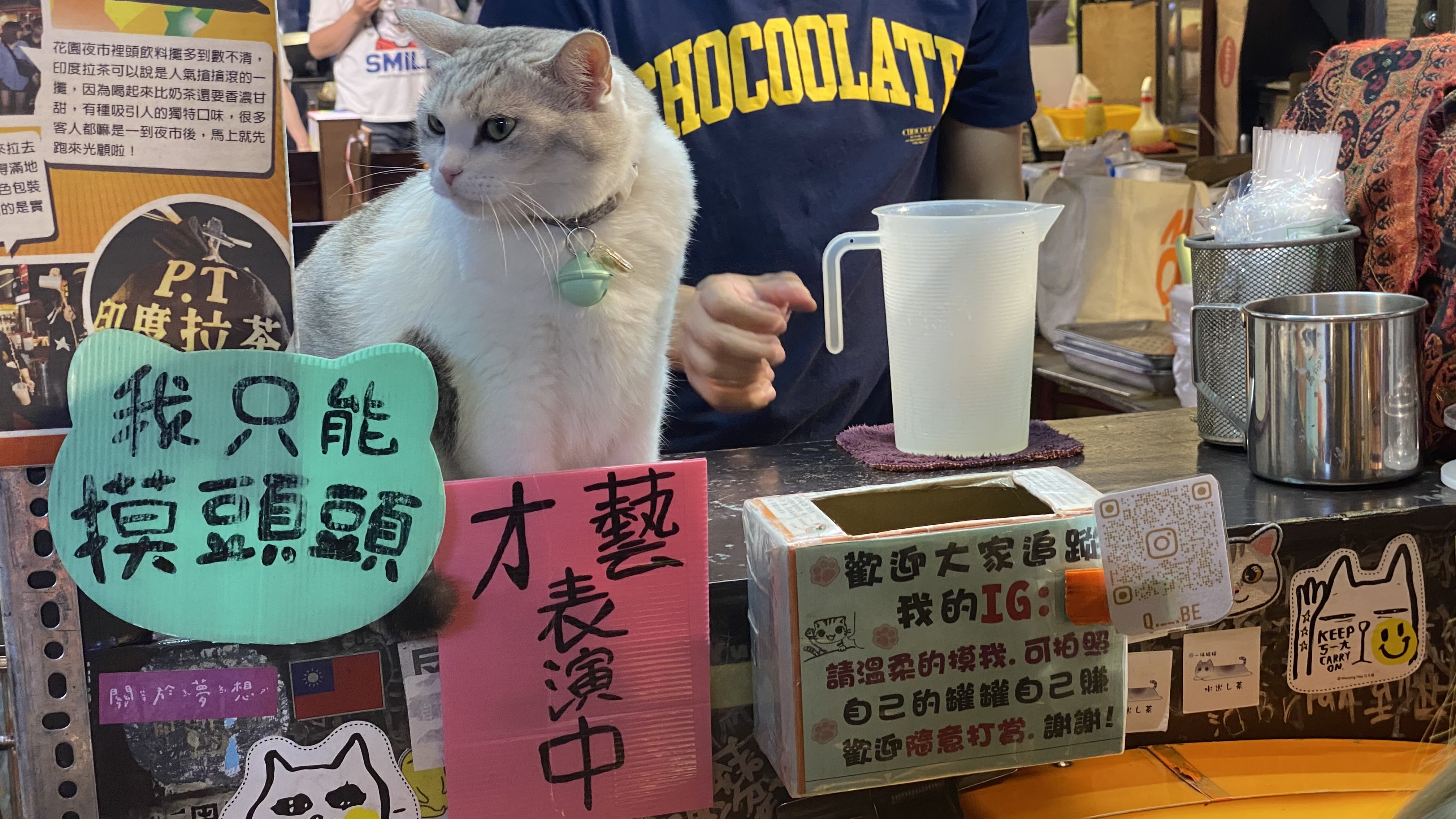 夜市攤販帶著貓營業|躺著賺的最高境界|好喝奶茶甜蜜滋味|許多客人朝聖來摸貓| 1 夜市攤販帶著貓營業|躺著賺的最高境界|好喝奶茶甜蜜滋味|許多客人朝聖來摸貓|