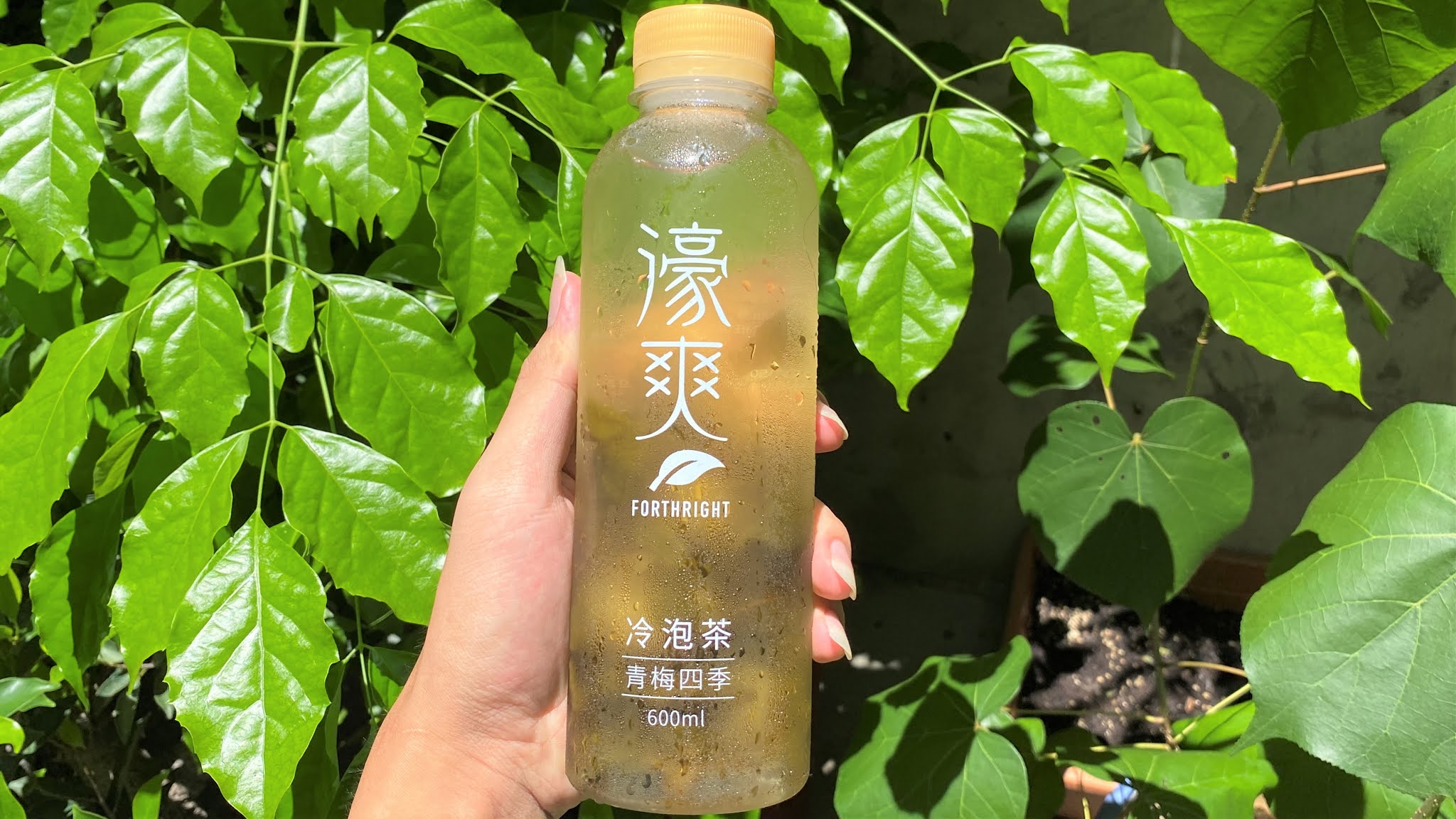 多種藥材及紅茶悶煮成的台中特色茶葉蛋|清香爽口的濠爽冷泡茶|特殊專利讓你不會喝到茶渣|也有茶葉可以選購回去泡茶| 4 多種藥材及紅茶悶煮成的台中特色茶葉蛋|清香爽口的濠爽冷泡茶|特殊專利讓你不會喝到茶渣|也有茶葉可以選購回去泡茶|