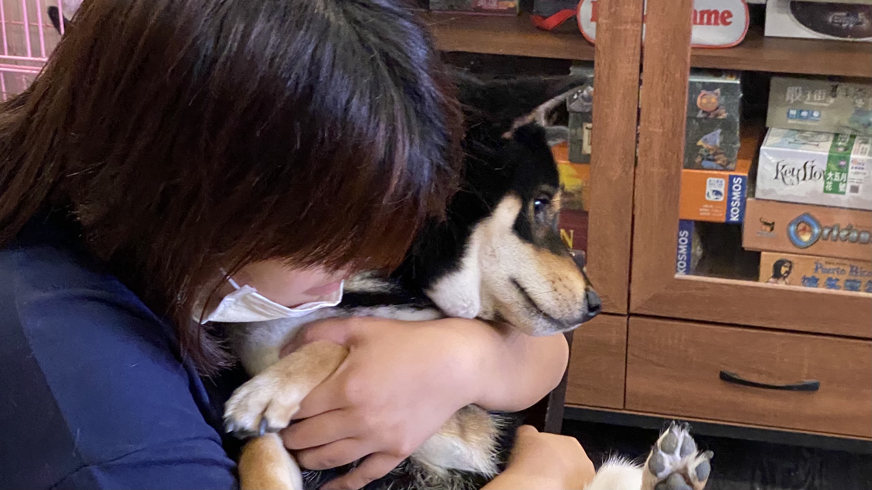 狗狗壞習慣如何矯正?|狗狗不把你當主人了嗎?|教你如何不打罵也能變成怪狗狗|狗狗最常犯的五種錯誤| 10 狗狗壞習慣如何矯正?|狗狗不把你當主人了嗎?|教你如何不打罵也能變成怪狗狗|狗狗最常犯的五種錯誤|