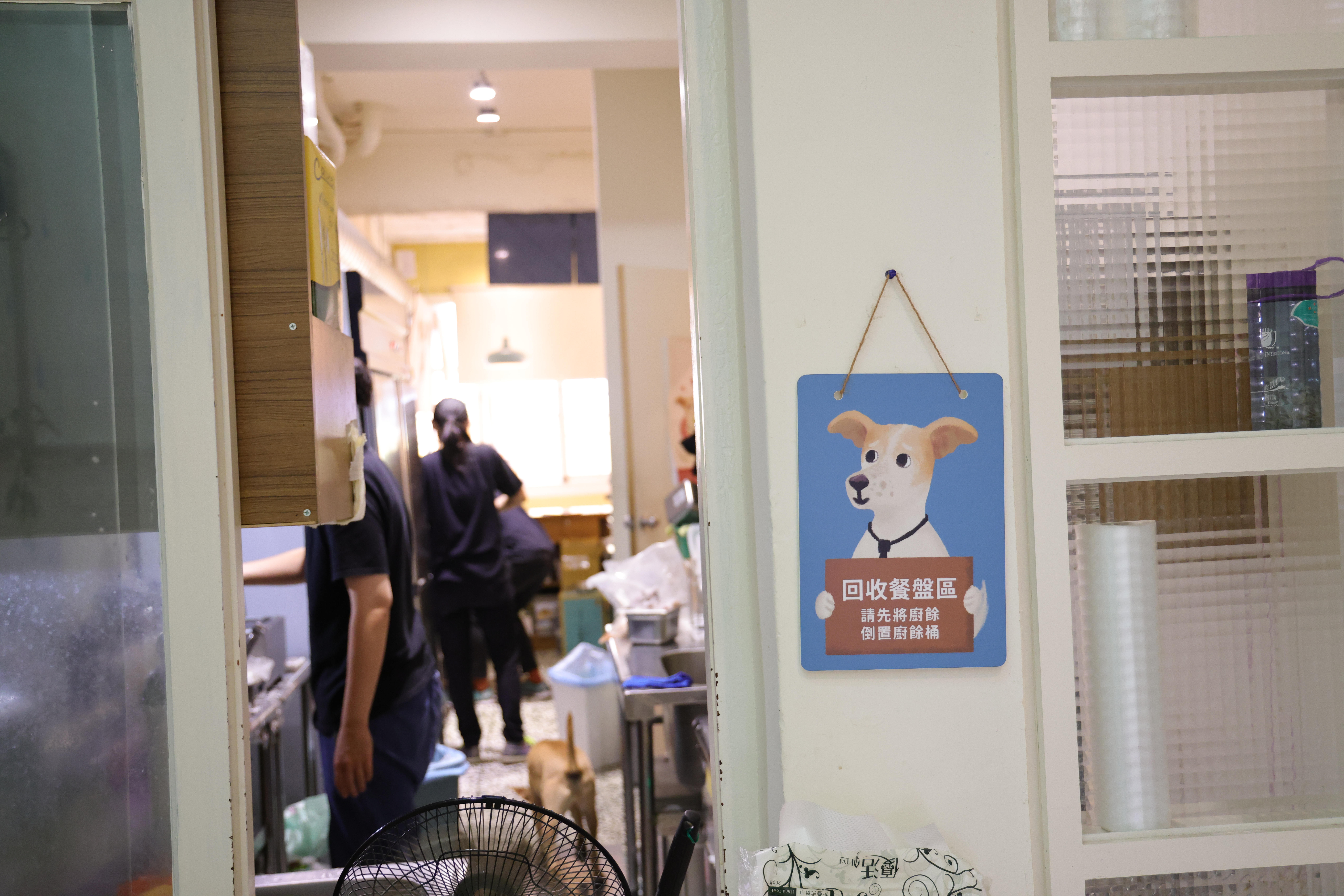 台南美食寵物友善餐廳「浪浪別哭－台南店」讓毛孩不再流浪! 貓狗兒們的中途之家|帶貓狗來玩的首選好地方|下午茶|義大利飯|燉飯