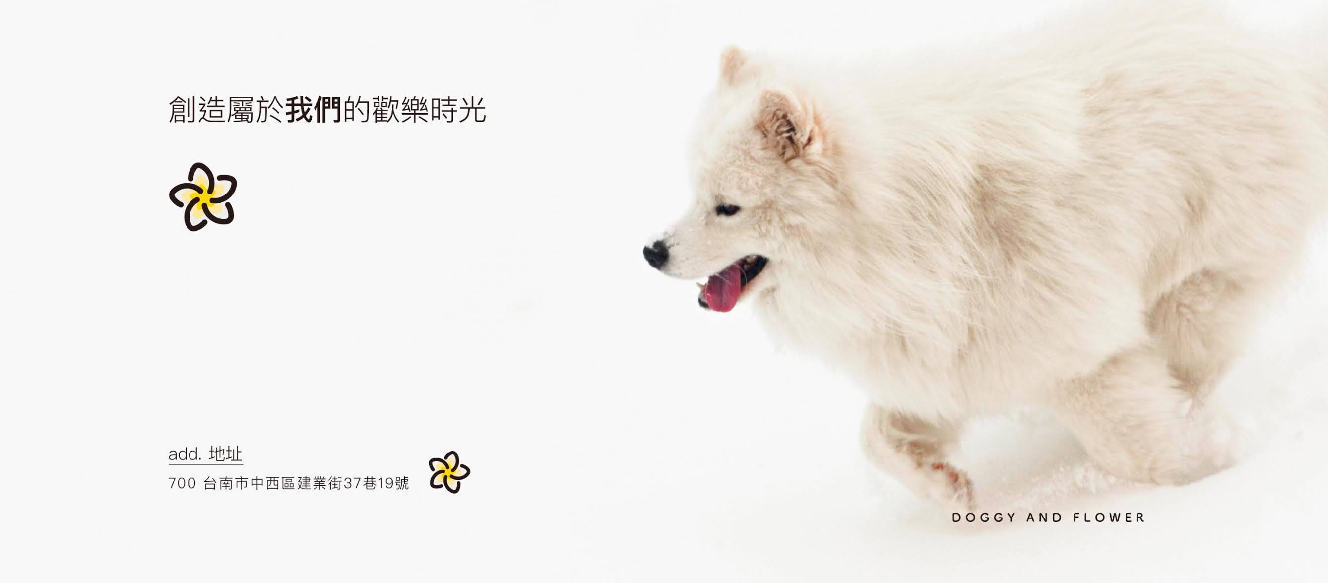 薩摩耶的家! 破舊的超級老屋也能布置得非常精美~|台南寵物友善|超精緻下午茶|網美打卡好據點(吐司/飲品/糕點/寵物零食) 1 薩摩耶的家! 破舊的超級老屋也能布置得非常精美~|台南寵物友善|超精緻下午茶|網美打卡好據點(吐司/飲品/糕點/寵物零食)