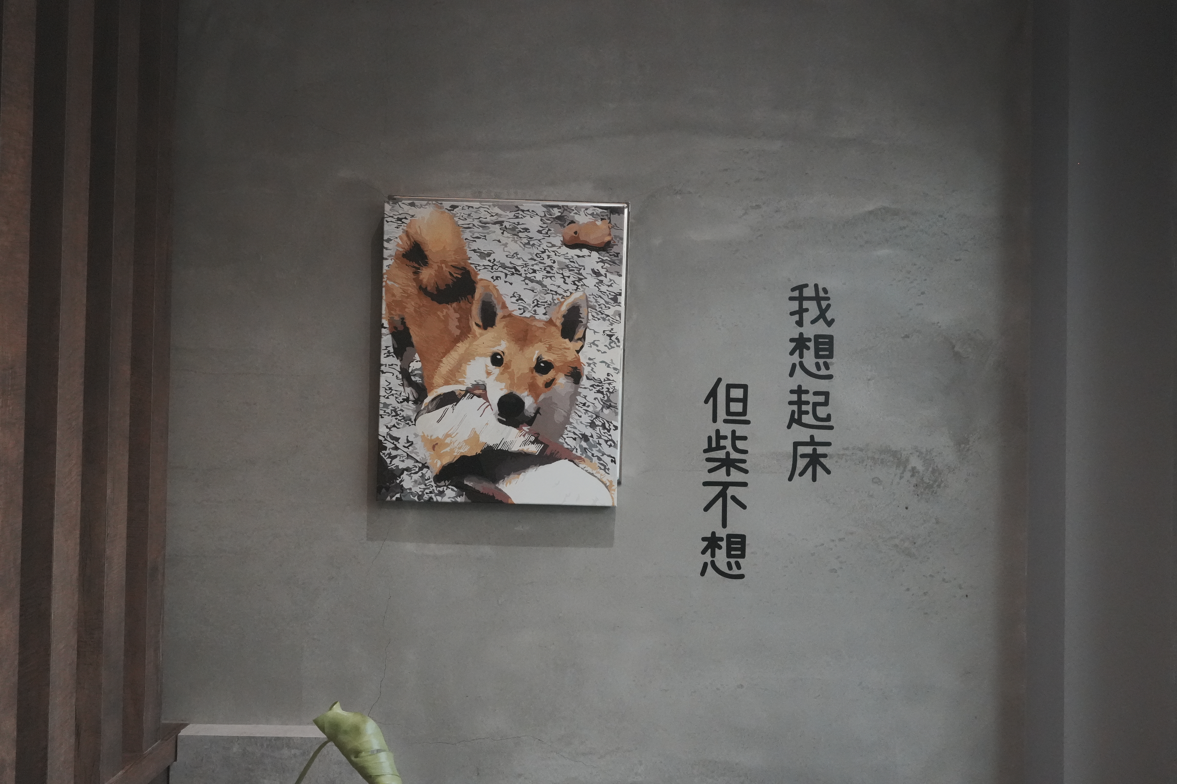 『小琉球』柴不想回家｜充滿柴元素的一家民宿｜寵物可入住｜有戶外空間可供寵物遊玩