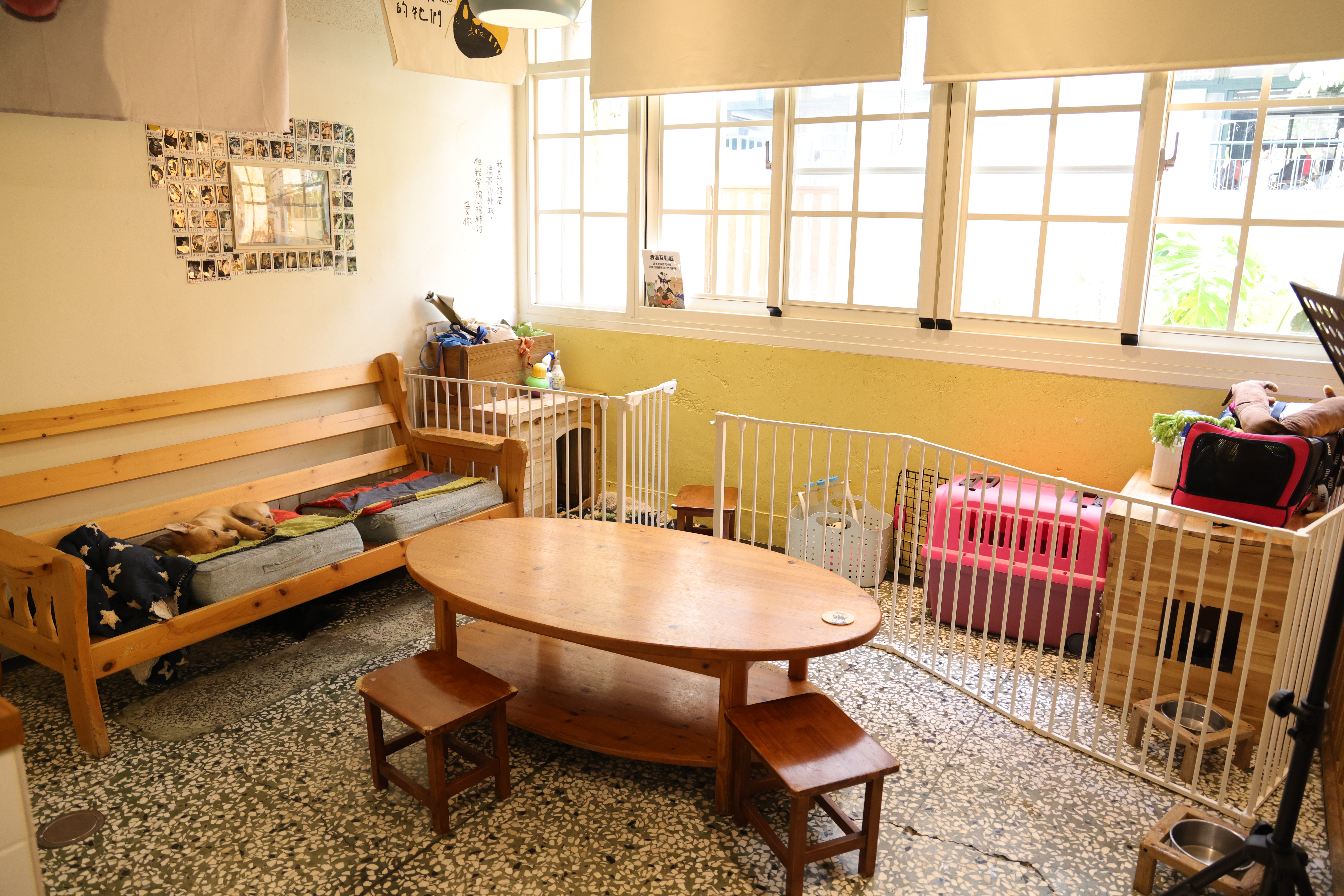 台南美食寵物友善餐廳「浪浪別哭－台南店」讓毛孩不再流浪! 貓狗兒們的中途之家|帶貓狗來玩的首選好地方|下午茶|義大利飯|燉飯