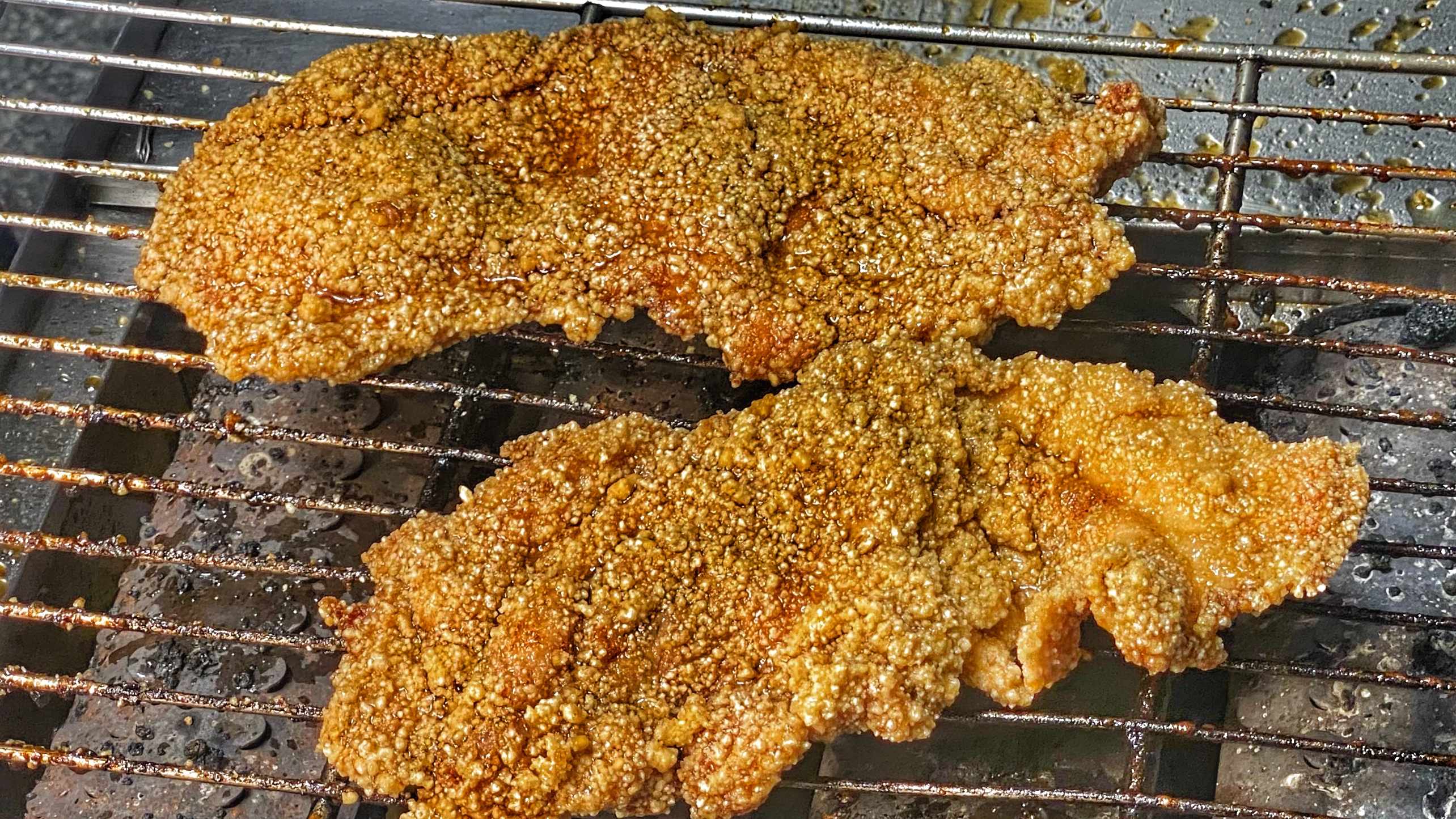 五種寵物絕對不能吃的食物|人類美食卻對牠們來說是毒藥|吃下去甚至會致死|人類食物都不能給毛孩吃?!| 7 五種寵物絕對不能吃的食物|人類美食卻對牠們來說是毒藥|吃下去甚至會致死|人類食物都不能給毛孩吃?!|