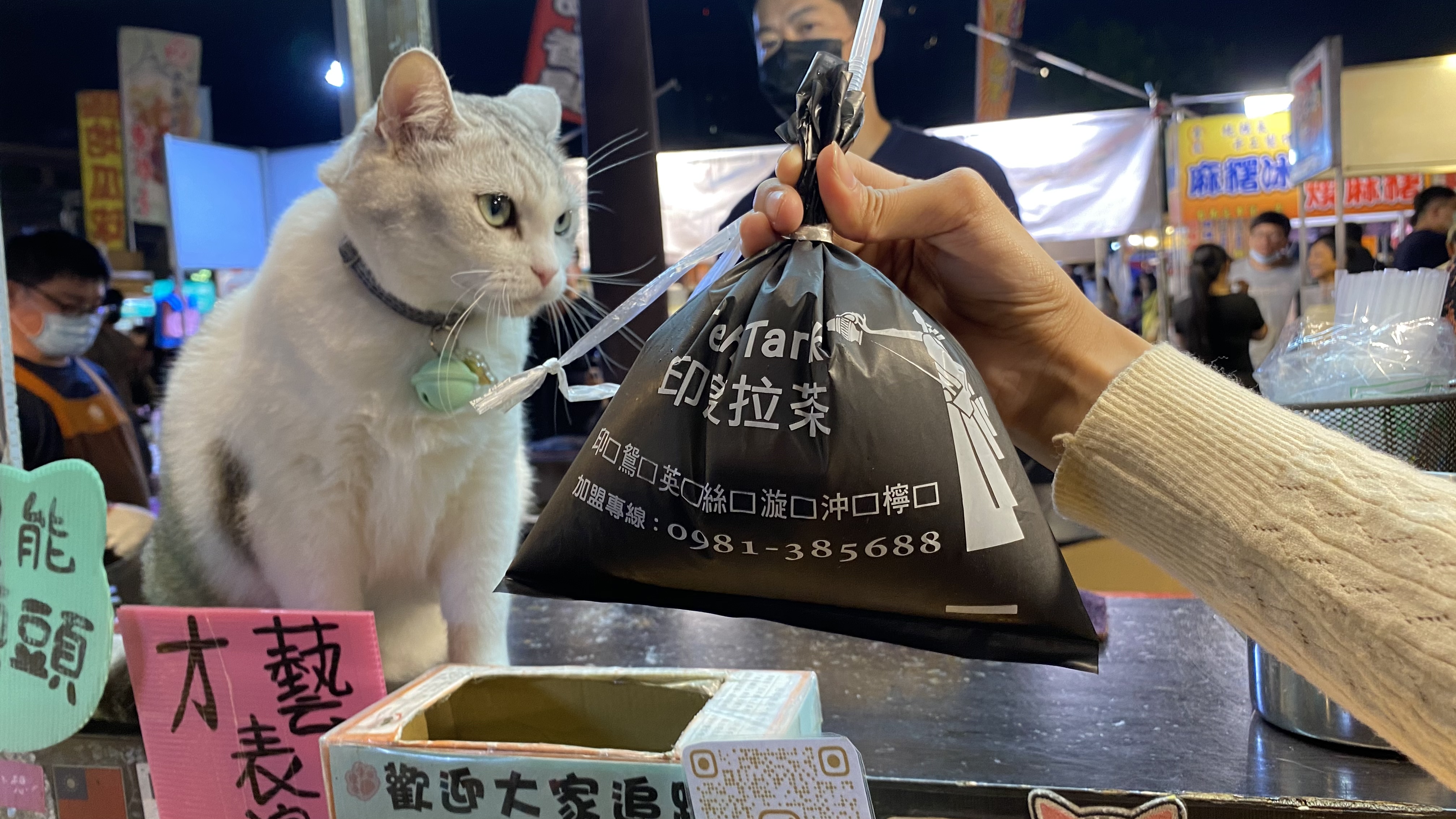 夜市攤販帶著貓營業|躺著賺的最高境界|好喝奶茶甜蜜滋味|許多客人朝聖來摸貓| 4 夜市攤販帶著貓營業|躺著賺的最高境界|好喝奶茶甜蜜滋味|許多客人朝聖來摸貓|